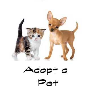 Heritage Humane Society – “Name Your Own Adoption Fee” Event on October 18, 2014
