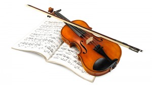 Peninsula Youth Orchestra – Board Member Openings