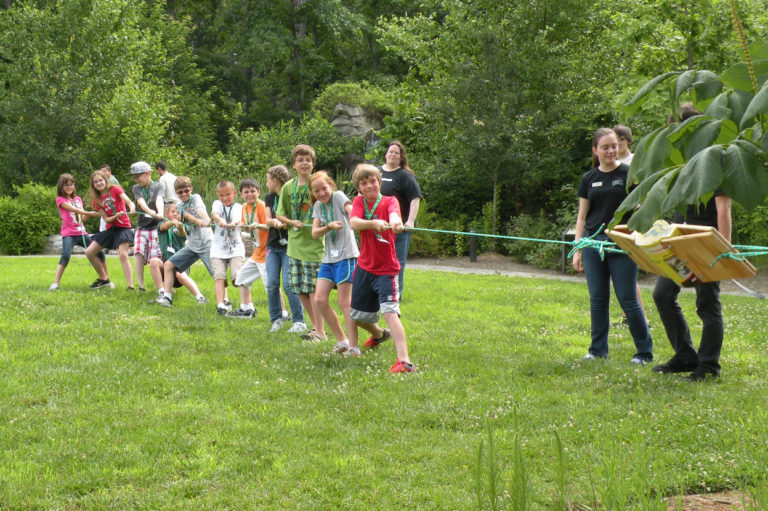 VLM summer camps – explore nature and space