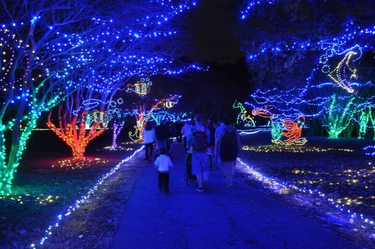 Norfolk Botanical Garden’s Million Bulb Walk Nov. 18-25, 2015