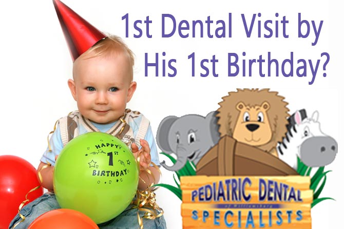 Did you know you should have your baby’s first dental check up by their first birthday?