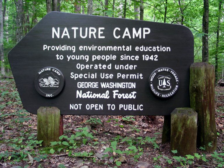 Nature Camp