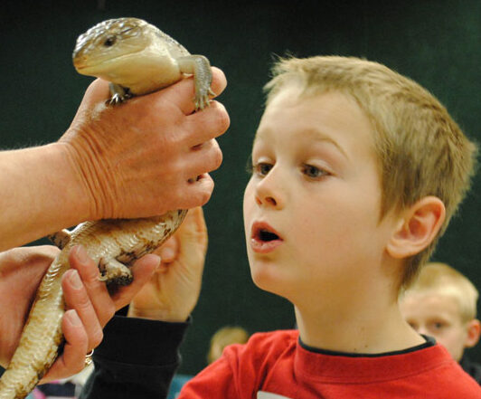 Virginia Living Museum