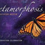 Otter Ball Gala 2024: Metamorphosis at Virginia Living Museum