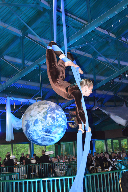 Otter Ball at Virginia Living Museum is VIRTUAL –