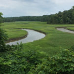 York River State Park - June Events!