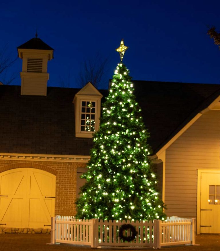 Yorktown’s Annual Christmas Tree Lighting Ceremony