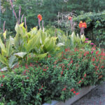 Williamsburg Botanical Garden "Honor Box" Ongoing Plant Sale