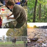 Chippokes State Park Events June 2024