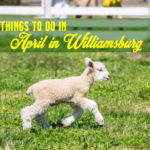 Best things to do in Williamsburg in April 2024