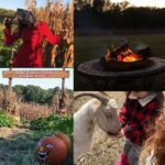 The Haunted Homestead and Weird Woods at Peace Hill Farm - Family Fun with An Eerie Edge (if you dare) - All Ages Event - Sunday Oct. 15!