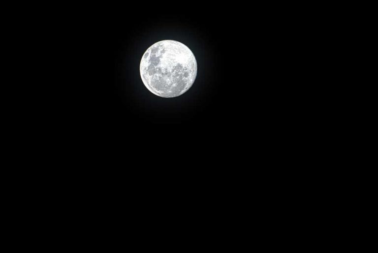 Full Moon Hikes in Freedom Park – March 25
