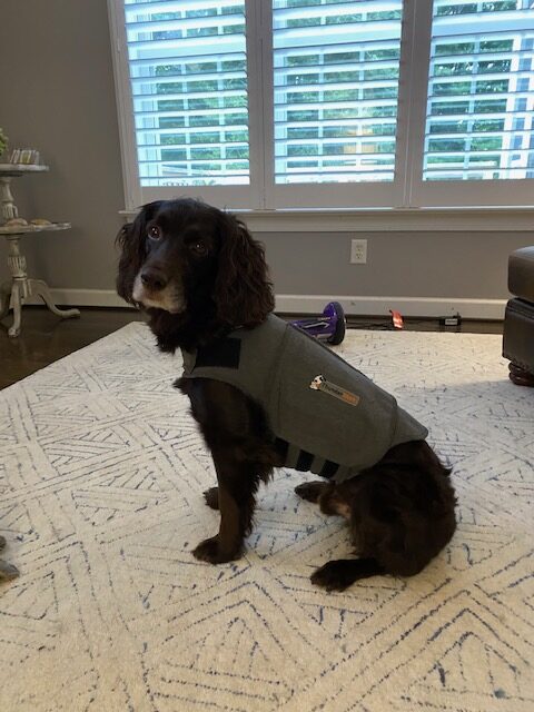 ThunderShirt – Can it help your pet?