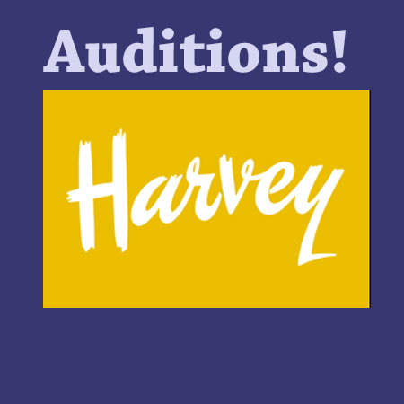 harvey-auditions