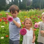 A Sweet Retreat: Ice Cream at the Toano Flower Field