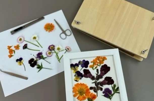 In this hands-on class, our Horticulturists will teach you how to dry flowers using traditional flower pressing techniques