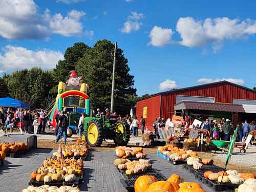 holly-fork-farm-fall