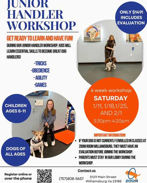 Junior-Handlers-Workshop-flyer