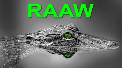 Reptile and Amphibian Weekend (RAAW)