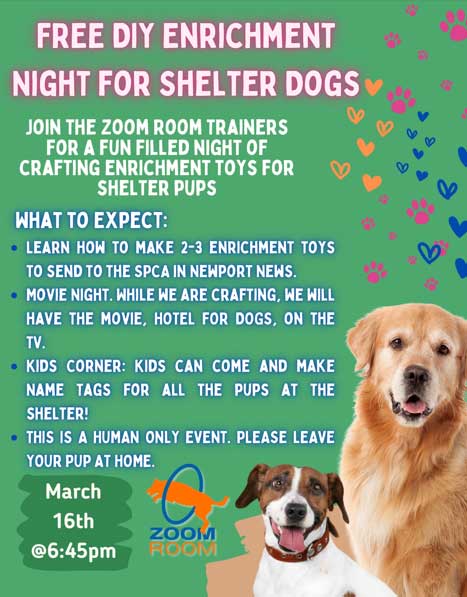 shelter event